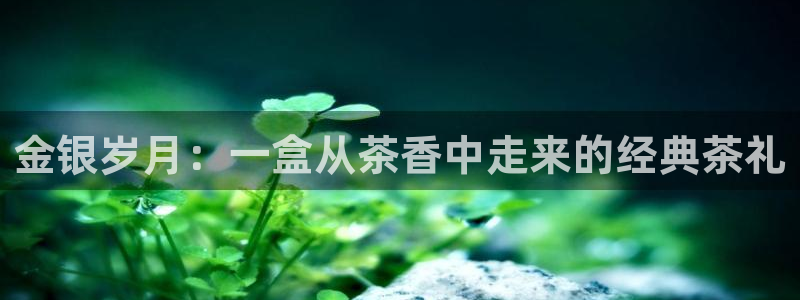 摩登7上3299O7
