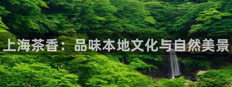 摩登3来找7O667