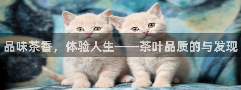 摩登6上7O667
