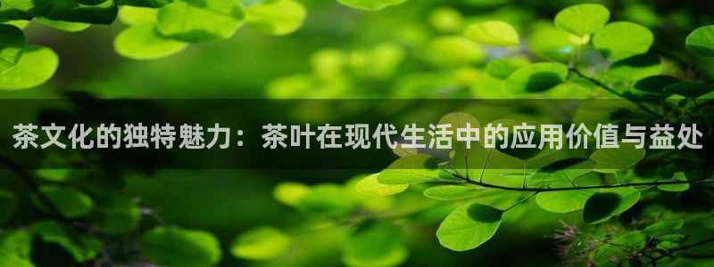 摩登7主管
