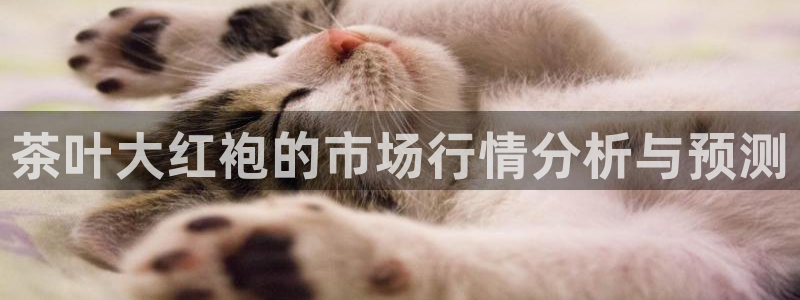 摩登7官方联系方式