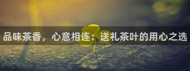 摩登招商虍金手指排名7