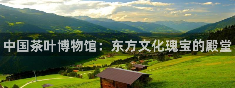 摩登7来宾