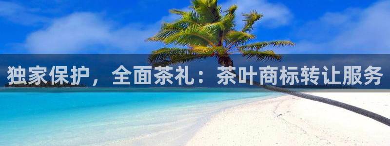 摩登7代理