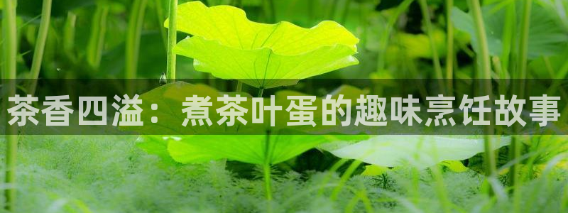 摩登7属于什么平台