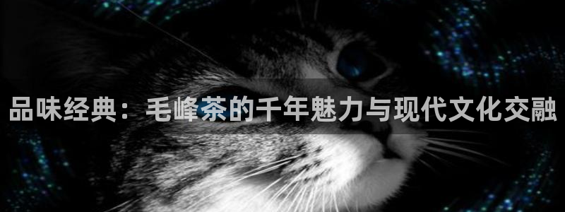 摩登7重工摩登
