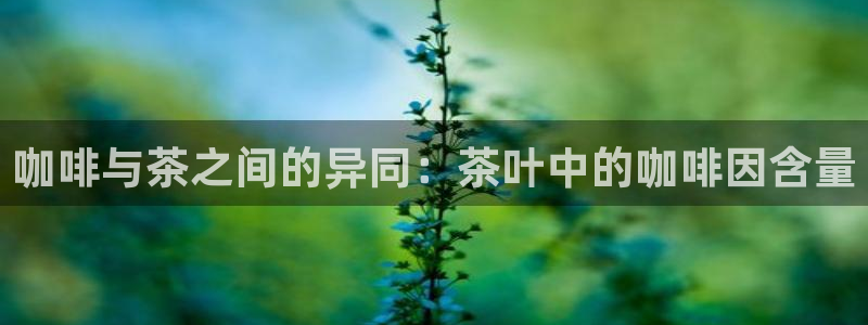 摩登精品7口碑极限