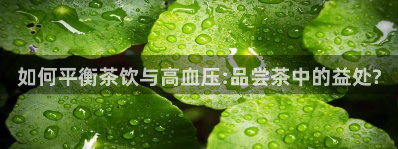 摩登7黑钱