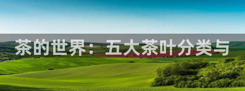 摩登7招商讨333OO