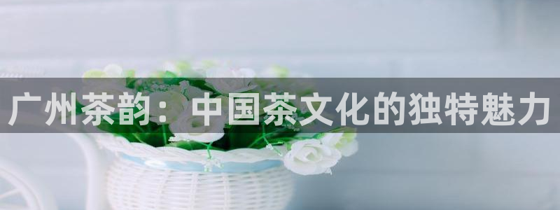 摩登7测速