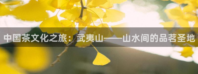 摩登7前3299O7