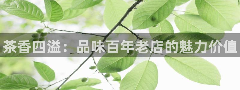 摩登平台视7O777