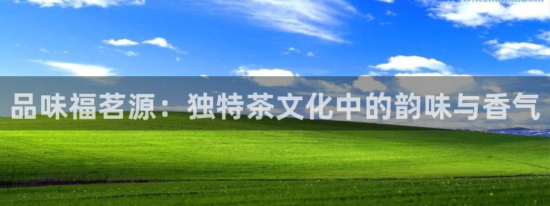 摩登7平台