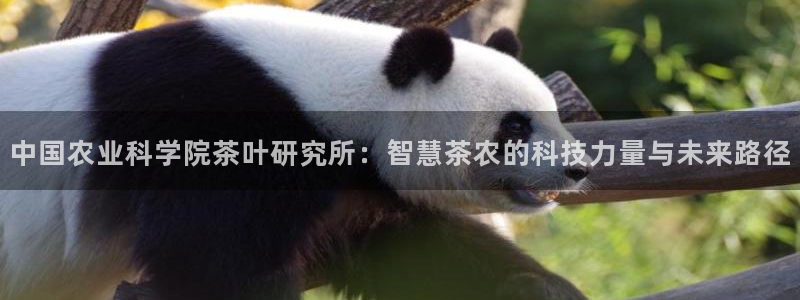 摩登7平台涨7O777