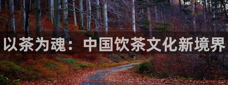 摩登5吕7O667