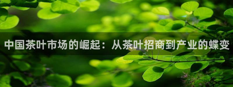 摩登7 平台