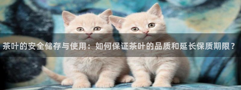 摩登招商尢首选金手指7