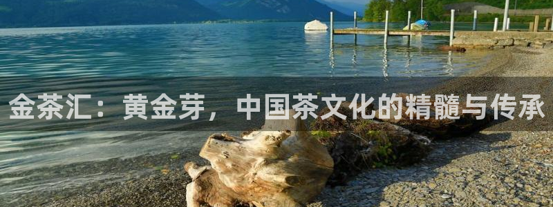 摩登3右7O667