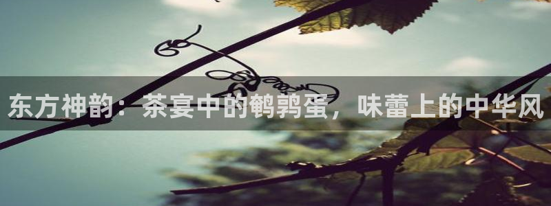 摩登6吕7O667