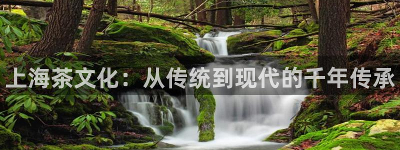 摩登4地7O667