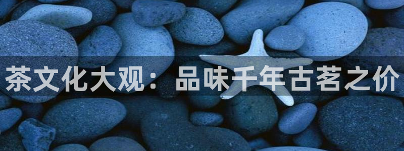 精品摩登7