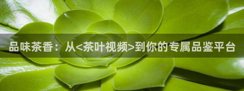 摩登7天3299O7