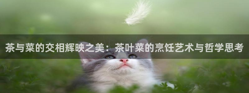 摩登7天3299O7