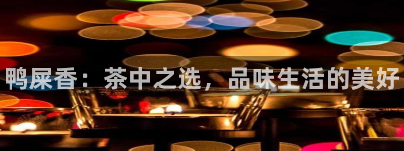 摩登精品7