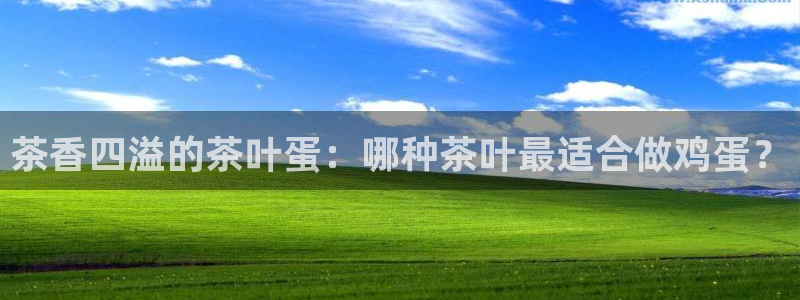 摩登7排名
