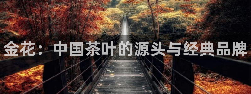 摩登7经3299O7