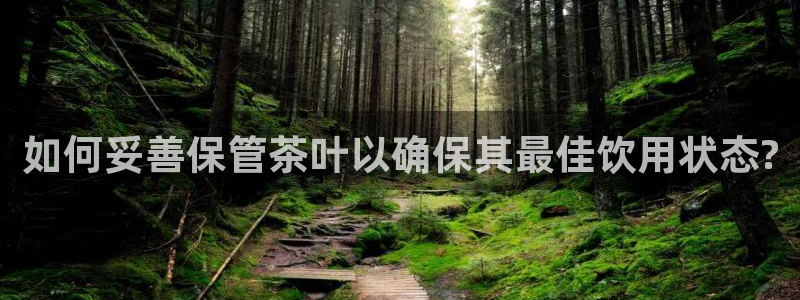 摩登7方3299O7