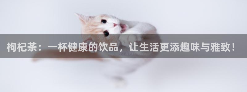 摩登7高阶