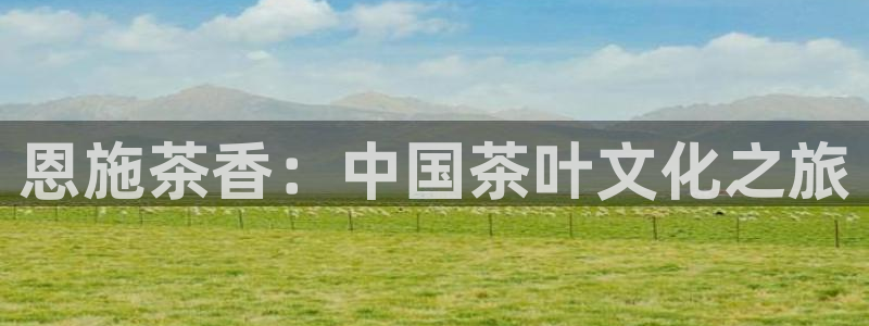 摩登口碑7