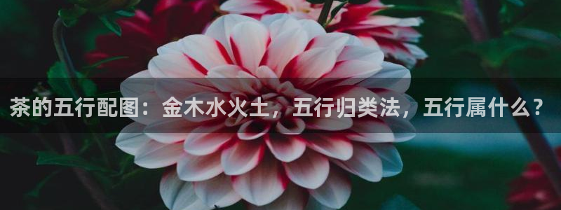 摩登世界7
