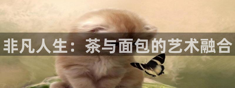 摩登7主管亲333OO