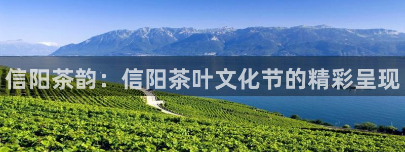 摩登7软件是什么原因