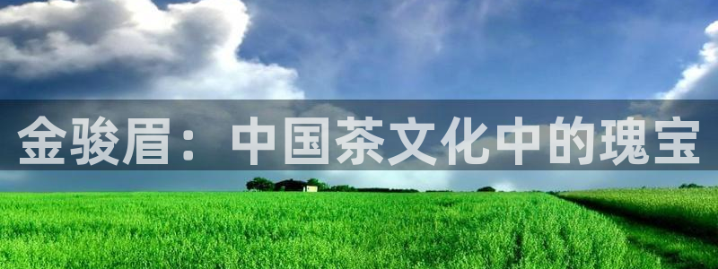 摩登7招商议333OO