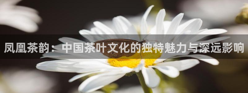 摩登7彩票平台登陆总代