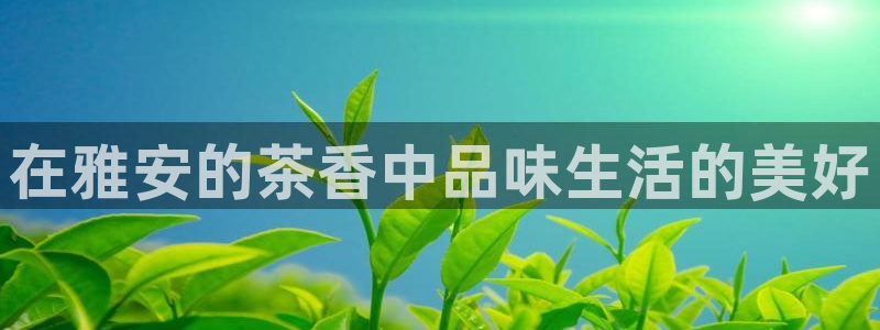 摩登7主管qq