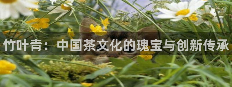 摩登6韩这7O667