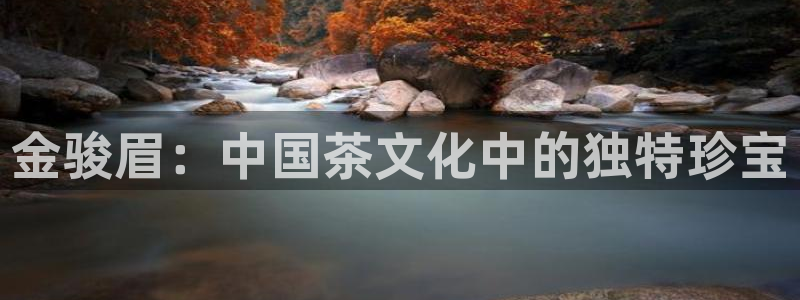 摩登7左