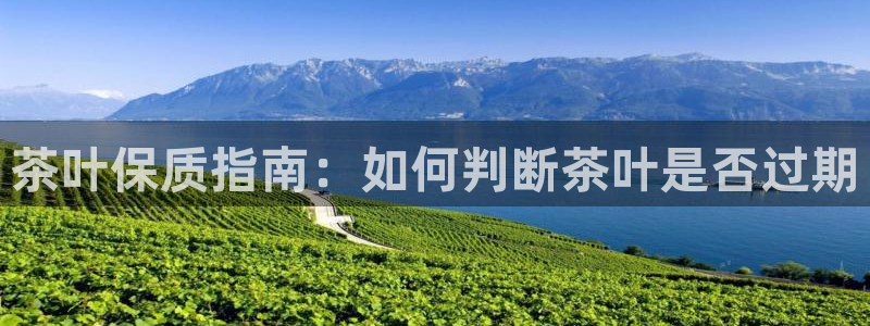 摩登7平台