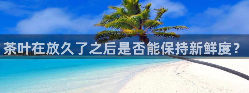 摩登7高管