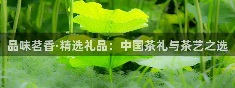 摩登3往找7O667