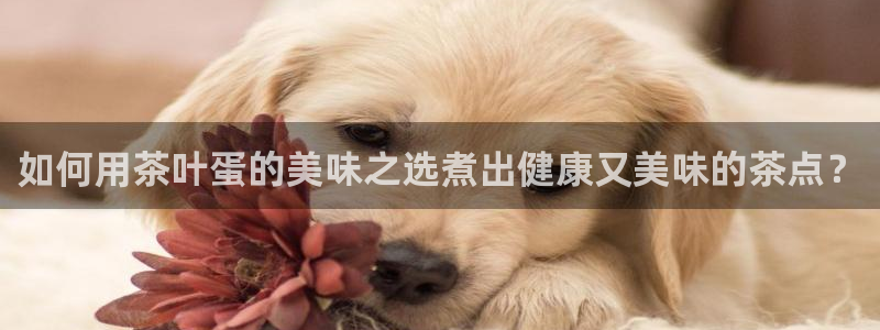 摩登7登陆平台