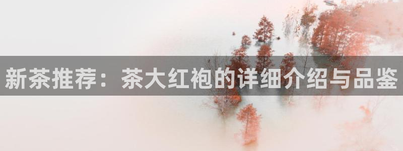 摩登7地址