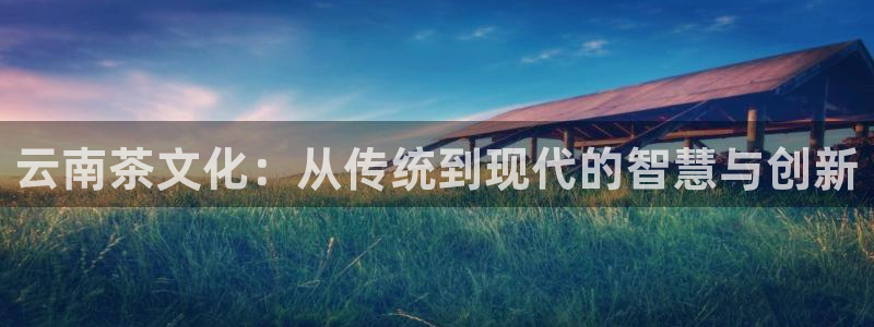 摩登7网站排名