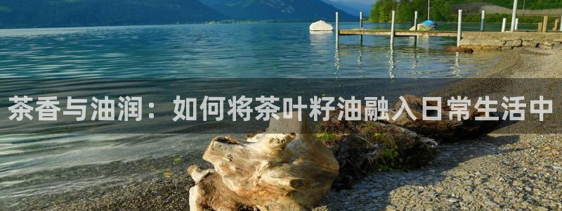 摩登7平台382223