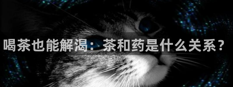 摩登7官方