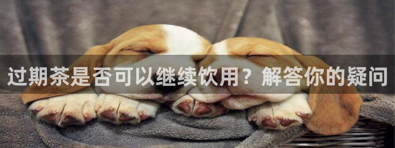 摩登7地址